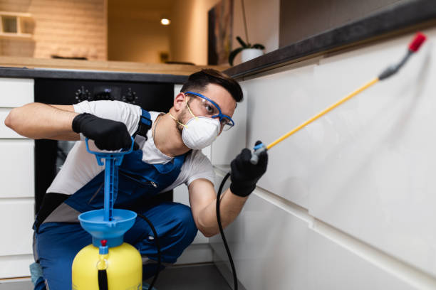 Best Cockroach Control Services  in Arbury Hls, IL
