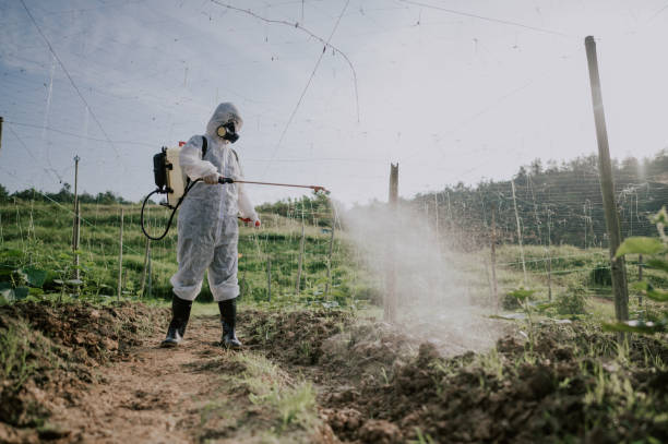Best Ant Control Services  in Arbury Hls, IL