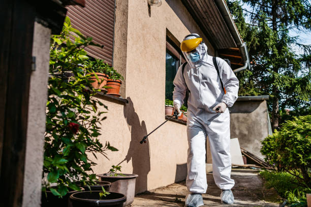 Best Best Pest Control Near Me  in Arbury Hls, IL