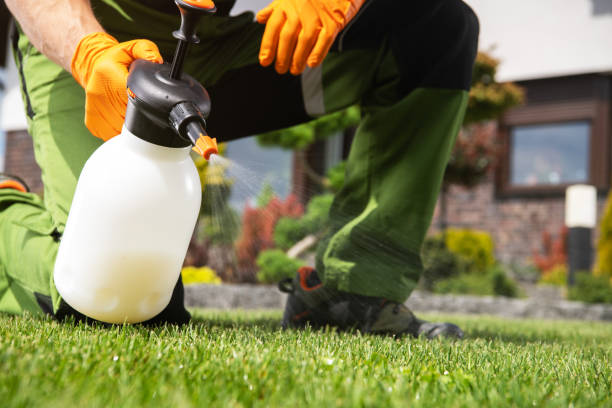 Best Bed Bug Extermination  in Arbury Hls, IL