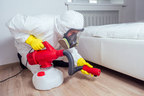 Best Termite Control Services  in Arbury Hls, IL