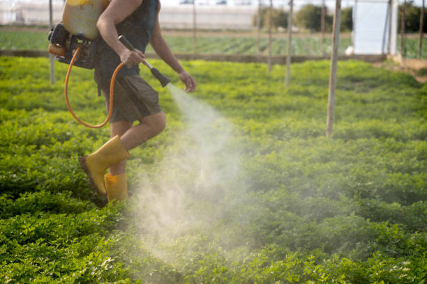 Best Pest Removal Services  in Arbury Hls, IL