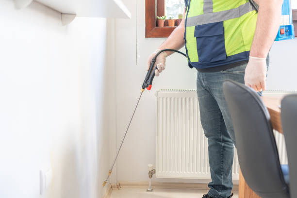 Best Rat Extermination Near Me  in Arbury Hls, IL