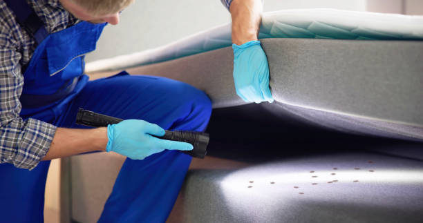 Best Flea Control Services  in Arbury Hls, IL