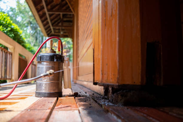 Best Wasp Removal Services  in Arbury Hls, IL