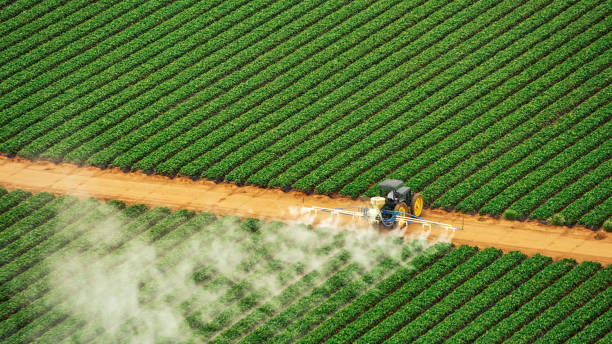 Reliable Arbury Hills, IL Pest Control Solutions