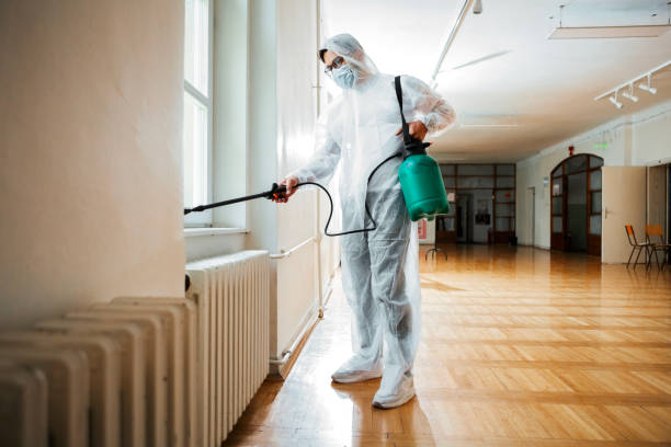Best Mosquito Control Services  in Arbury Hls, IL