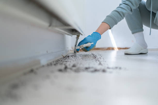 Best Local Pest Control Services  in Arbury Hls, IL